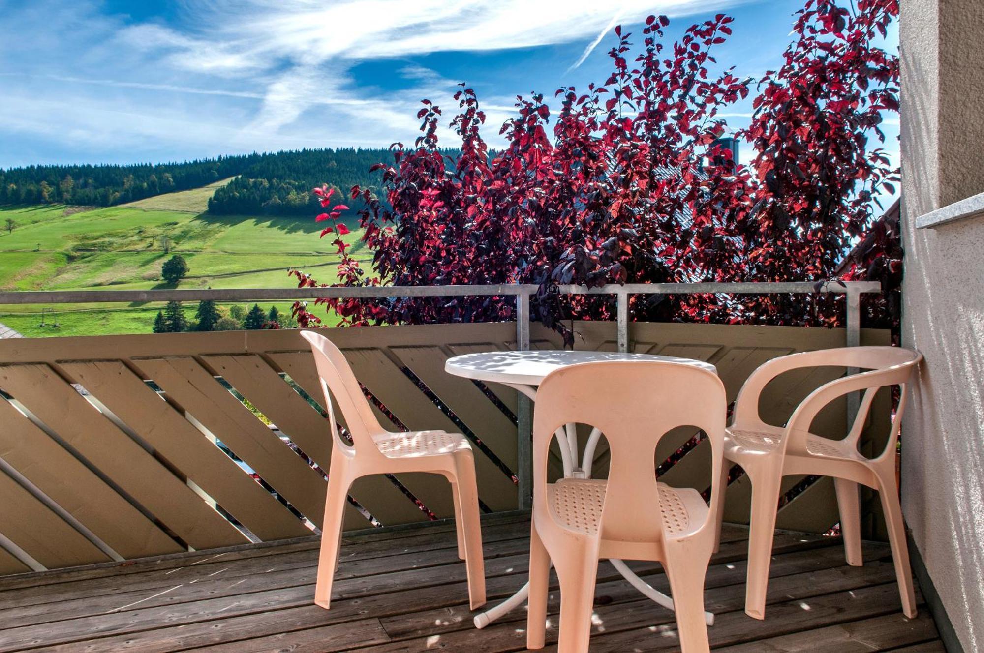 Apartment 03 - Ferienresidenz Roseneck, Mit Schwimmbad In Todtnauberg Bei Feldberg Exterior photo
